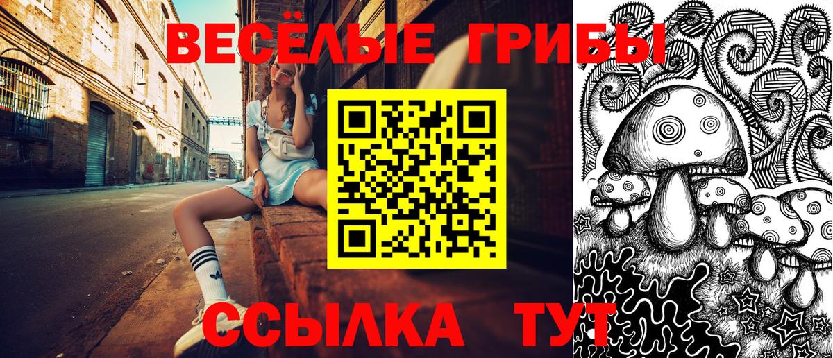 Псилоцибиновые грибы мухоморы Ялта
